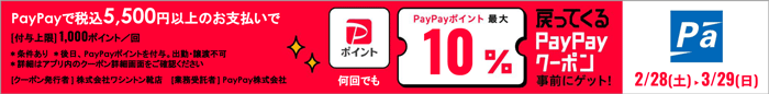 PayPay