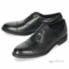 ケンフォード ビジネスシューズ KENFORD KN62 ACJ ブラック ブラウン 靴 メンズ ストレートチップ ラウンドトゥ 紳士靴 本革 幅広 内羽根式 フォーマル 日本製