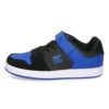 DC スニーカー キッズ ジュニア シューズ ローカット 靴 KS MANTECA 4 V SN DK234001 ホワイト ブルー DC Shoes