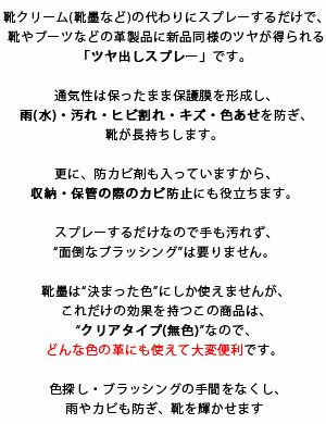 靴のツヤ出し トーエー ビューティーシャワー 保護 防カビ スプレー 防水 靴 お手入れ 20018