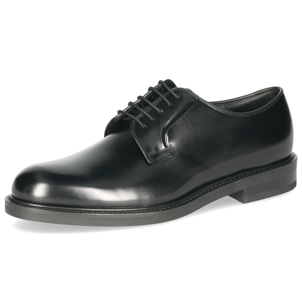 リーガル 靴 メンズ REGAL ビジネスシューズ 本革 24FL ブラック プレーントウ 紳士靴 靴 日本製 2E 軽量 通勤 仕事 就活 卒業式 入学式 入社式 結婚式 フォーマル