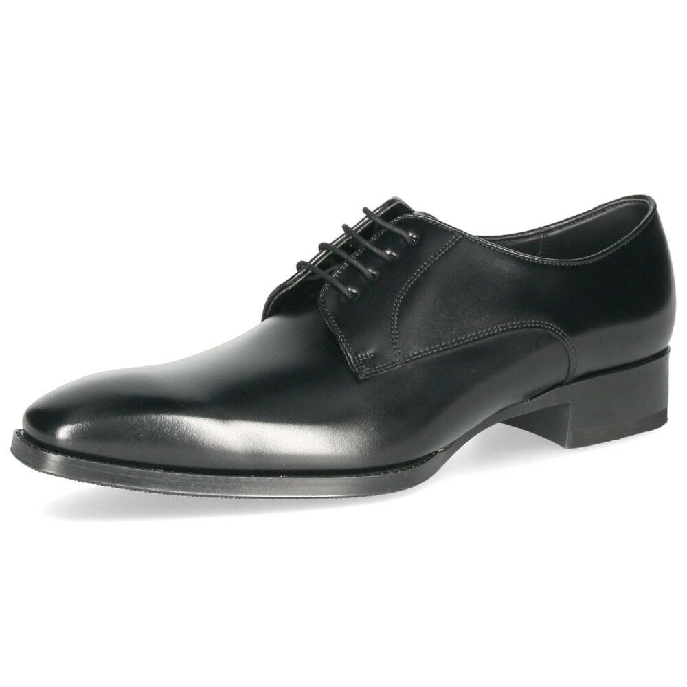 リーガル 靴 メンズ REGAL ビジネスシューズ 本革 24EL ブラック プレーントウ シャープなラスト 紳士靴 靴 日本製 2E 軽量 通勤 仕事 就活 卒業式 入学式 入社式 結婚式 フォーマル