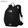 ノースフェイス リュック 15L キッズ スモールデイ NMJ72360 デイパック バッグ かばん バックパック 通学 通園 遠足 アウトドア THE NORTH FACE 